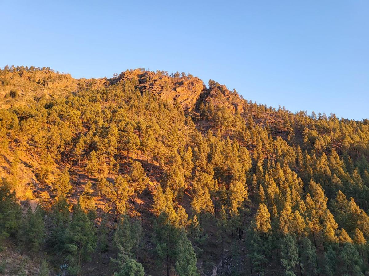 Casa Rural Los Pinares El Juncal De Tejeda Εξωτερικό φωτογραφία
