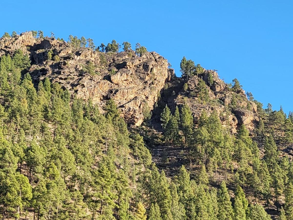 Casa Rural Los Pinares El Juncal De Tejeda Εξωτερικό φωτογραφία