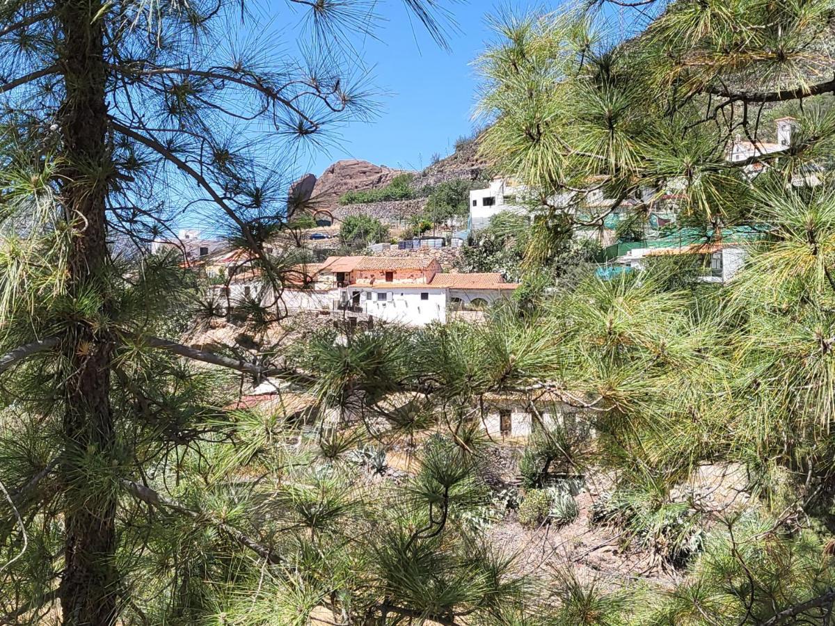 Casa Rural Los Pinares El Juncal De Tejeda Εξωτερικό φωτογραφία