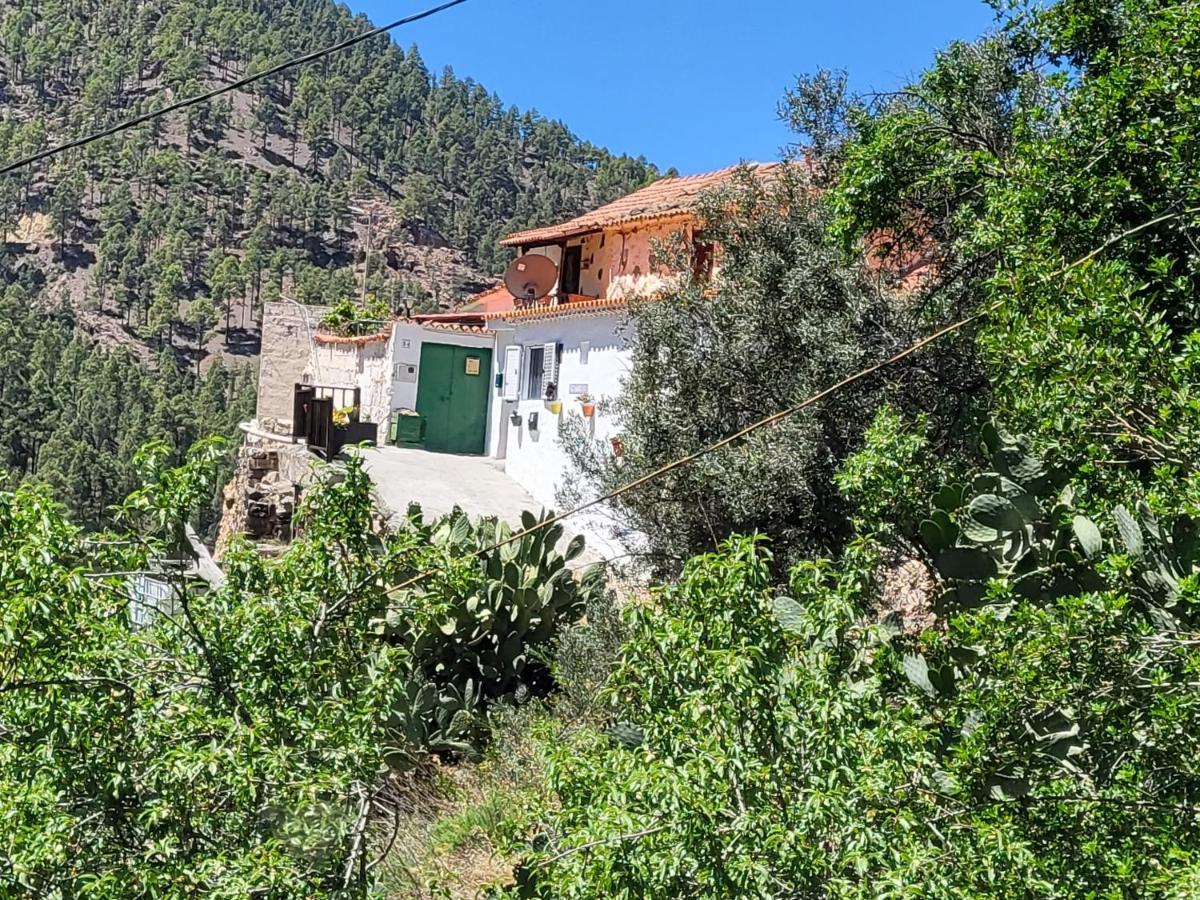 Casa Rural Los Pinares El Juncal De Tejeda Εξωτερικό φωτογραφία