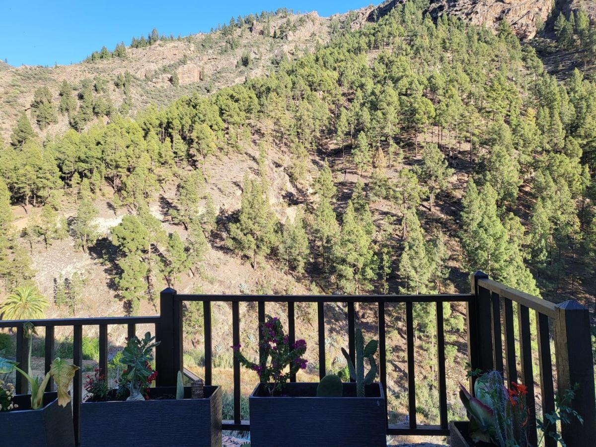 Casa Rural Los Pinares El Juncal De Tejeda Εξωτερικό φωτογραφία