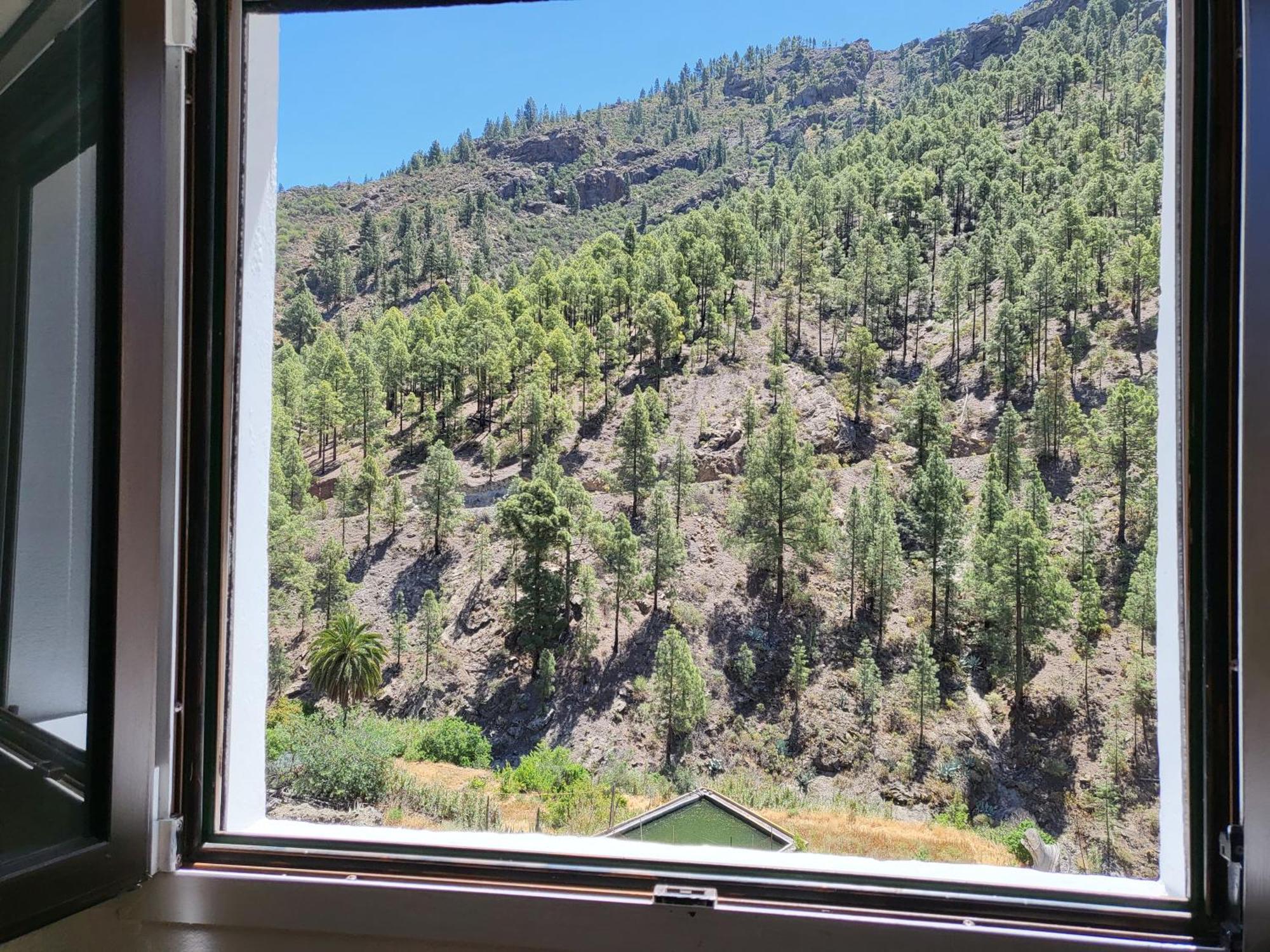 Casa Rural Los Pinares El Juncal De Tejeda Εξωτερικό φωτογραφία